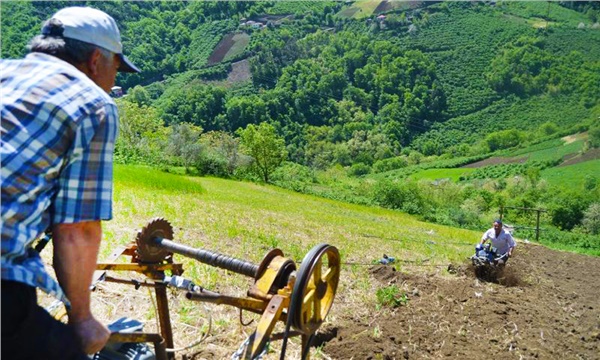 Trabzon’da yerçekimine karşı tarım!