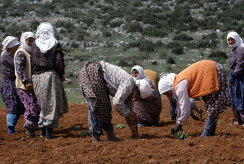 tarim_kadin
