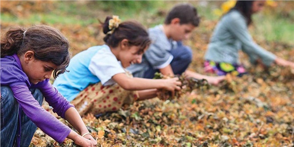 Kız çocuklarına karşı ayrımcılık tarlada başlıyor