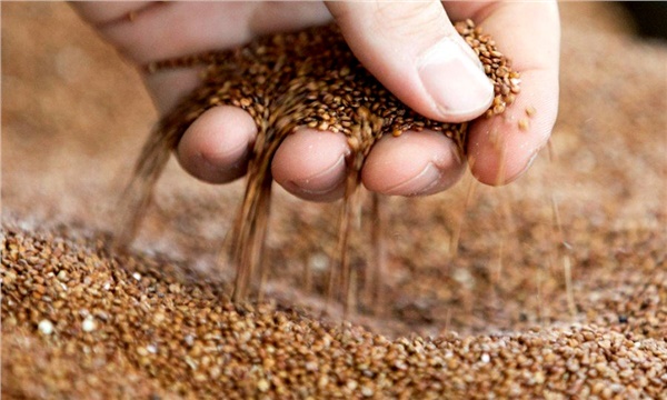 Tarımda yeni borsa dönemi başlıyor Tarımda yeni borsa dönemi başlıyor