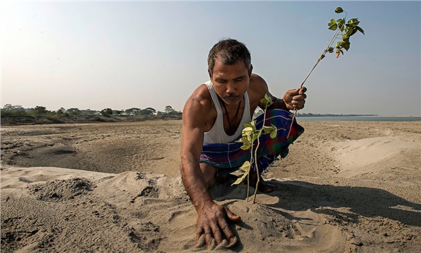Orman eken adam Jadav Payeng Orman eken adam Jadav Payeng