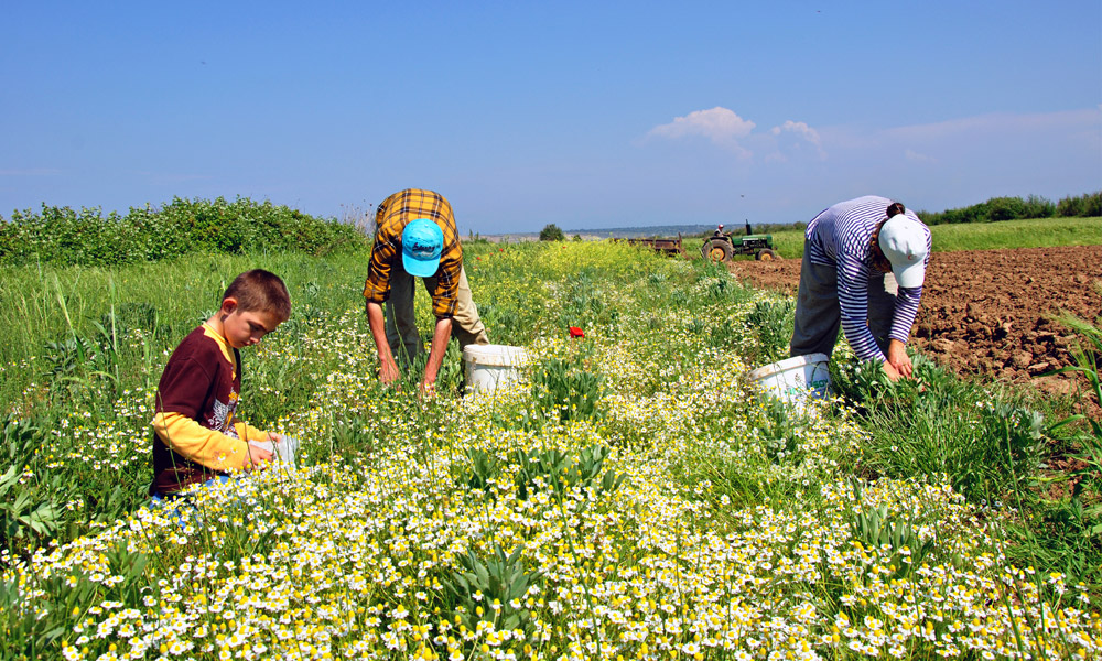 14-mayis-in-sahipleri-neden-azaliyor2.jpg