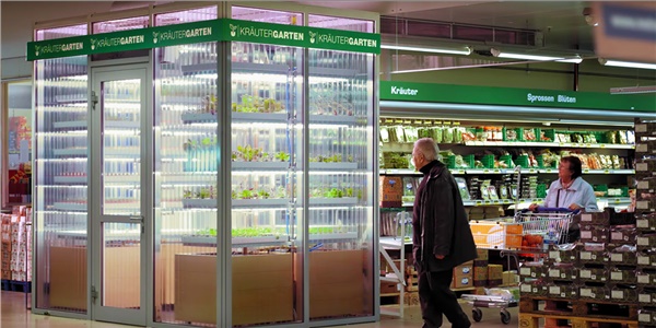 Seralar süpermarketlere taşındı! Seralar süpermarketlere taşındı!