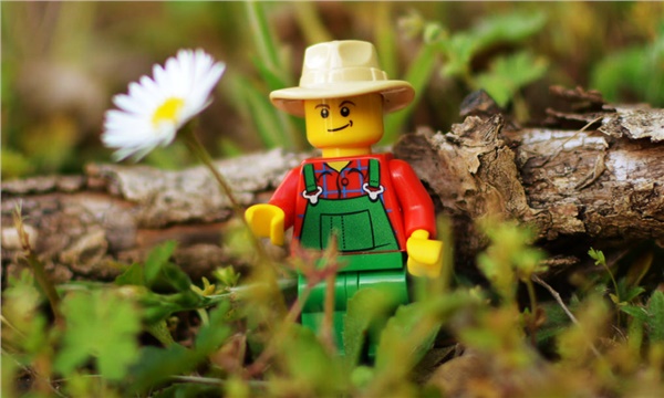 Bitkisel legolar geliyor Bitkisel legolar geliyor