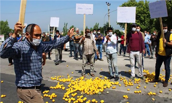 Limon üreticileri yollara döküldü! Limon üreticileri yollara döküldü!
