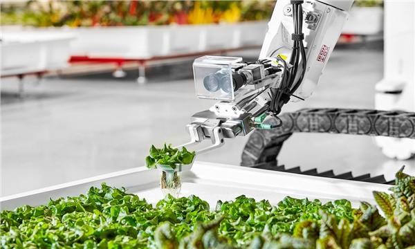 Bu tarım robotu yalnız çalışmayı seviyor! Bu tarım robotu yalnız çalışmayı seviyor!
