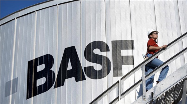 BASF Bayer BASF Bayer