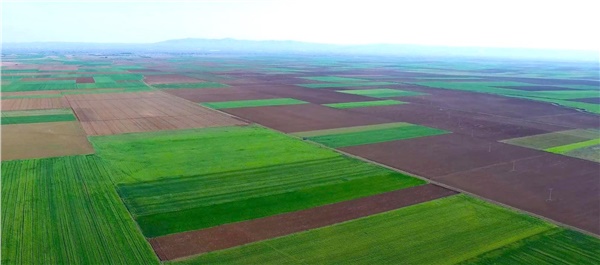 Alpu ovası termik santrale direniyor Alpu ovası termik santrale direniyor