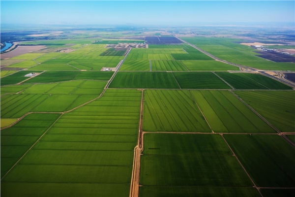  Türkiye ve Polonya’da arazi toplulaştırması: Fark nerede?