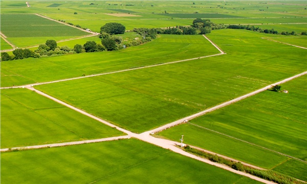 Yabancı yatırımcılara arazi satışı hızlandı Yabancı yatırımcılara arazi satışı hızlandı