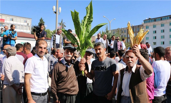 Tütün yasası Adıyaman Tütün yasası Adıyaman