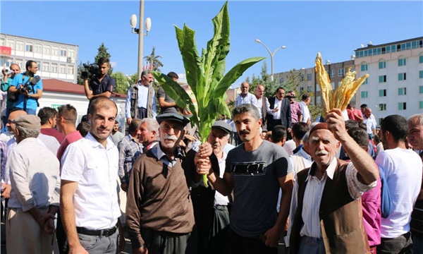 Tütün yasası Adıyaman