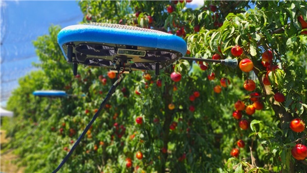 Robotlar gıda israfın önüne geçiyor Robotlar gıda israfın önüne geçiyor