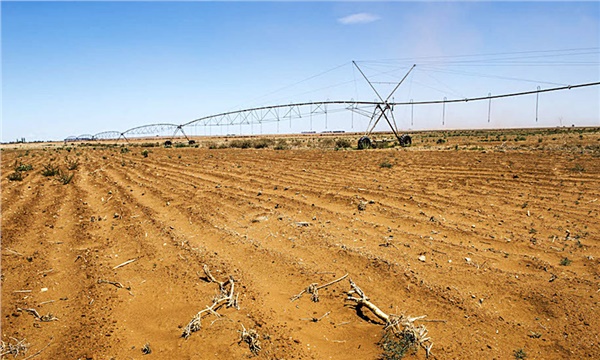 Güney Afrika’da “Sıfır Günü” yaklaşırken