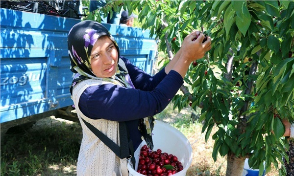 Sınırlar kalktı, bir köyün kaderi böyle değişti