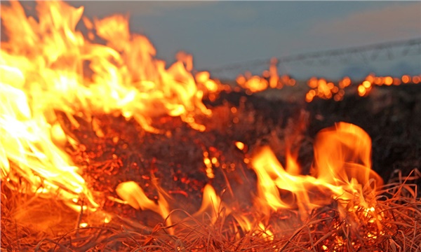 İç Anadolu’nun tahıl arazilerinde yangın afeti