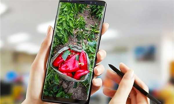 Tarım ürünlerinin dijital pazarı açıldı Tarım ürünlerinin dijital pazarı açıldı