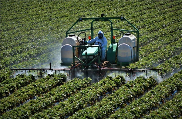 İhraç ürünlerinde fumigasyon dönemi başlıyor