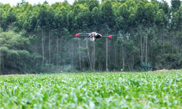 Güz tırtılının hakkından drone’lar geldi! Güz tırtılının hakkından drone’lar geldi!