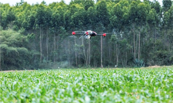 Güz tırtılının hakkından drone’lar geldi!