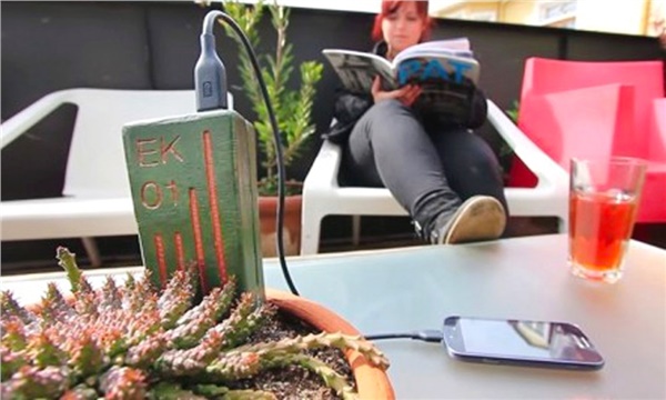 Telefonunuzu bitkilerle şarj edin! Telefonunuzu bitkilerle şarj edin!