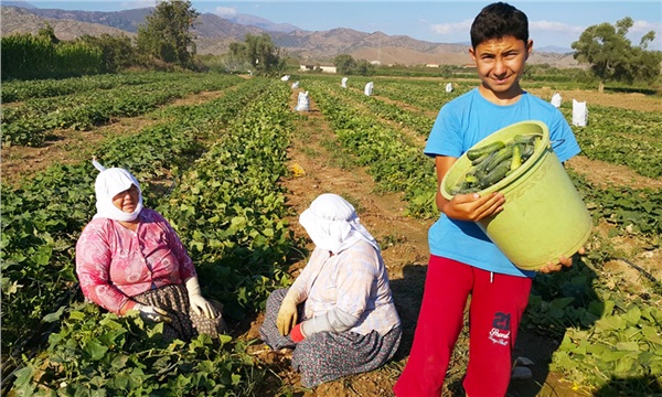 Kornişonda üç merkez, üç manzara