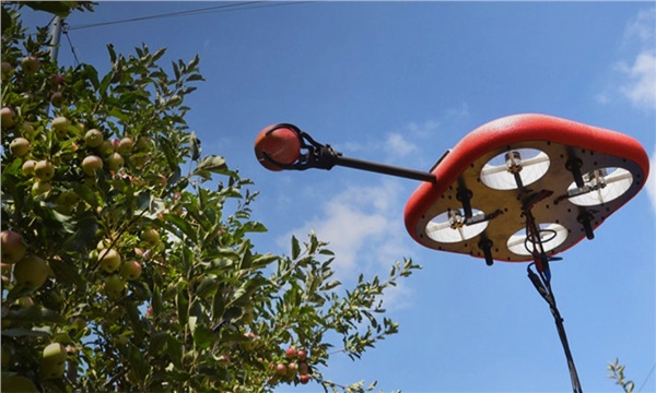 Uçan hasat robotları bahçelere iniyor