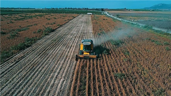 Planlı üretim için adım atılıyor