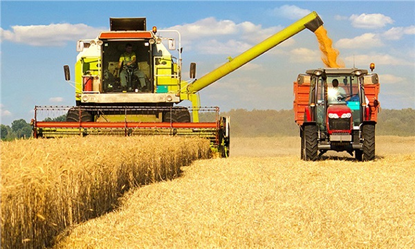 Yeni bütçede tarımı neler bekliyor? Yeni bütçede tarımı neler bekliyor?