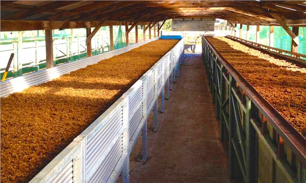 Üreticinin yeni gözdesi solucan gübresi Üreticinin yeni gözdesi solucan gübresi