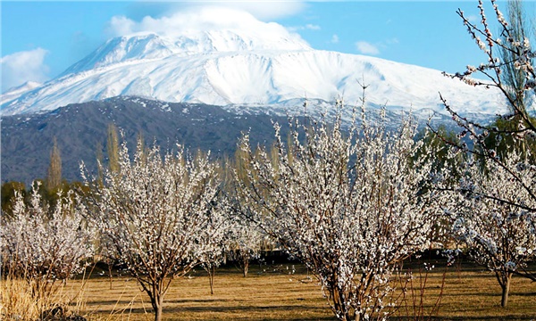 Tarımın acı gerçeği bu ile uğramadı Tarımın acı gerçeği bu ile uğramadı