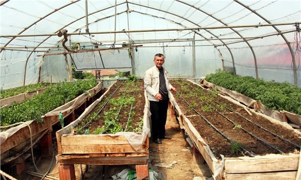 Evinin üzerine kurduğu serada üretim yapıyor