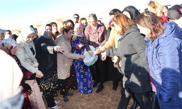 Kadınlar en eski buğdaya yeniden hayat verdi Kadınlar en eski buğdaya yeniden hayat verdi