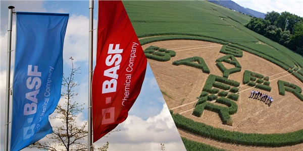 Nunhems artık BASF ile anılacak