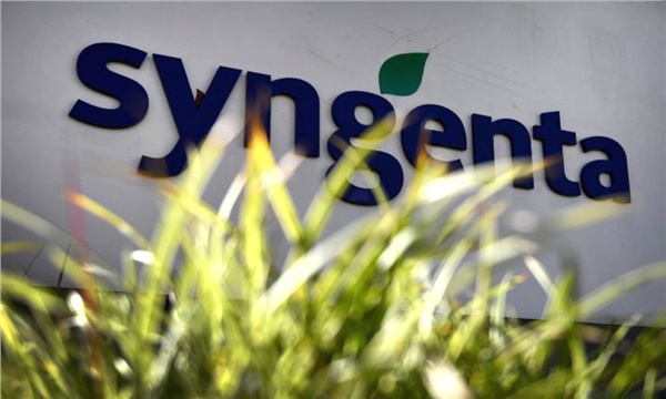 Syngenta Bayer’in tohumlarına talip Syngenta Bayer’in tohumlarına talip