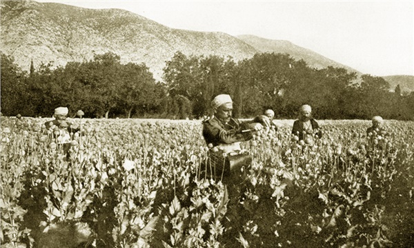 Haşhaş üretiminde dünden bugüne