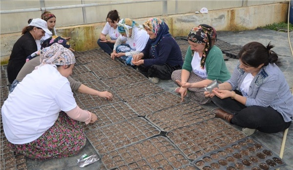 Bir ilin tüm çiçekleri bu serada yetişecek Bir ilin tüm çiçekleri bu serada yetişecek