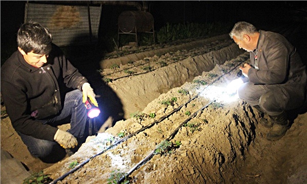 Serada gece nöbetleri ne zaman bitecek?