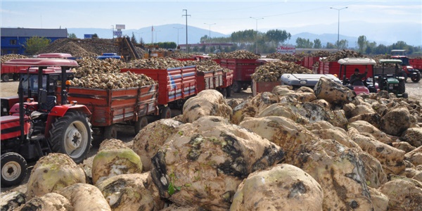 Şekerpancarının avans alım fiyatı açıklandı