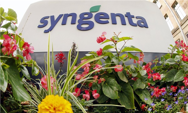 Syngenta dev anlaşmaya hazırlanıyor Syngenta dev anlaşmaya hazırlanıyor