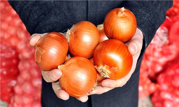 Soğanda ithalata devam kararı çıktı Soğanda ithalata devam kararı çıktı