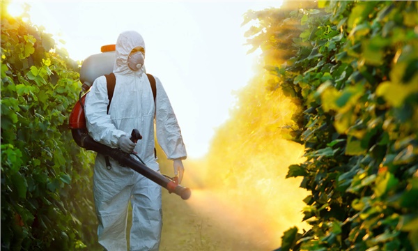 Pestisit kullanımı yüzde 6 artacak