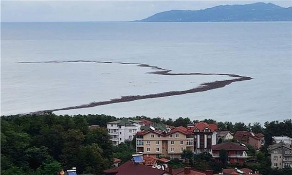 Ordu Ordu