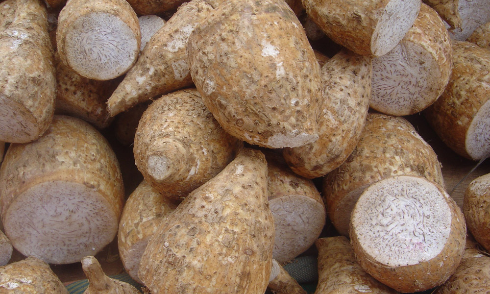 akdeniz-in-gizli-hazinesi-golevez1.jpg