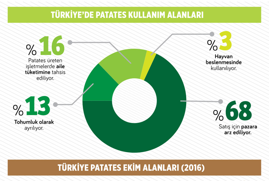 dogru-tohum-senaryoyu-degistiriyor1.jpg