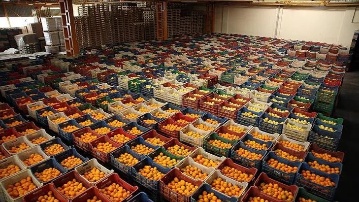 gumrukteki-zorlu-bekleyisten-nar-ve-bibere-yasak-cikti1.jpg