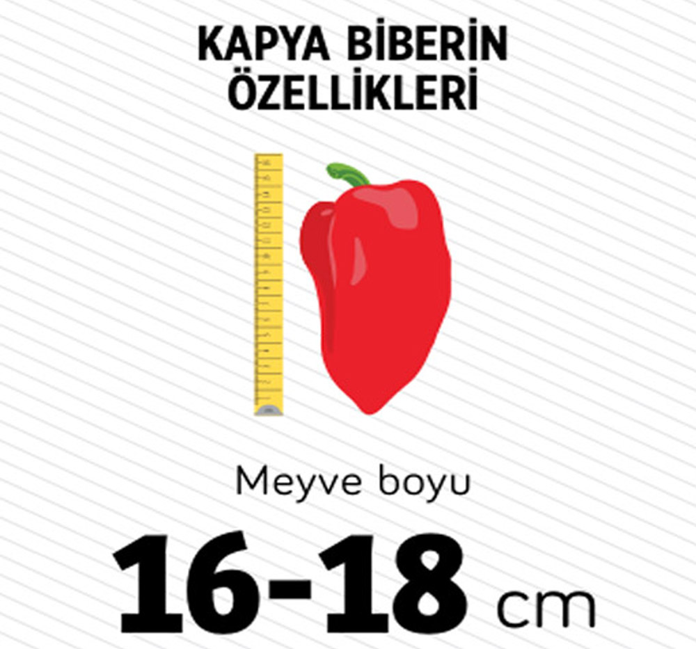 kapya-biber-10-yilda-kendi-tarihini-yazdi3.jpg