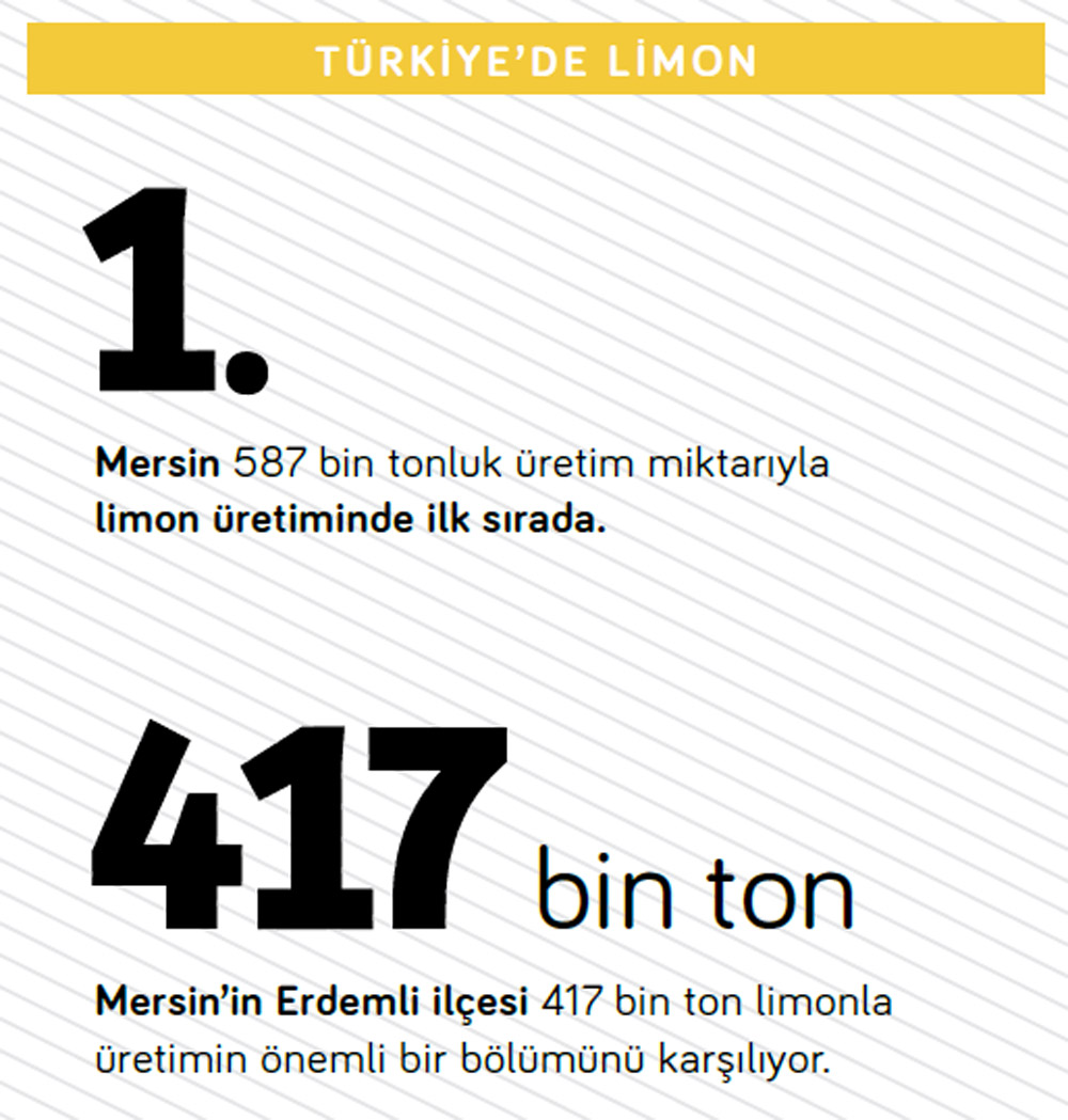 limon-dikip-altin-bicenlerin-sirri1.jpg