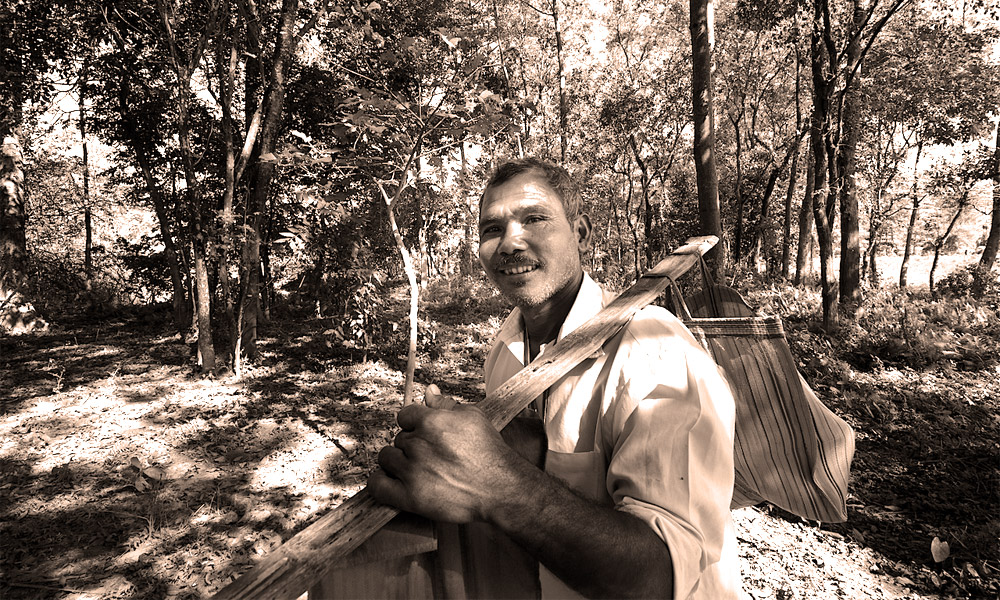 orman-eken-adam-jadav-payeng1.jpg