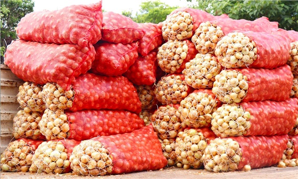 sogan-ve-patateste-nefes-alma-zamani2.jpg